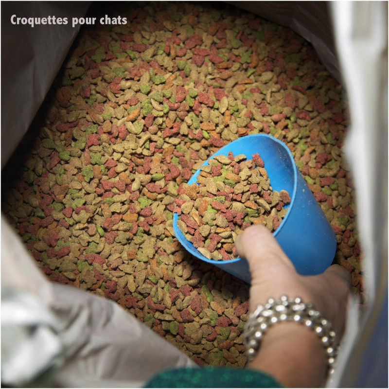 Croquette Chat 31/11 (20Kg) — free download